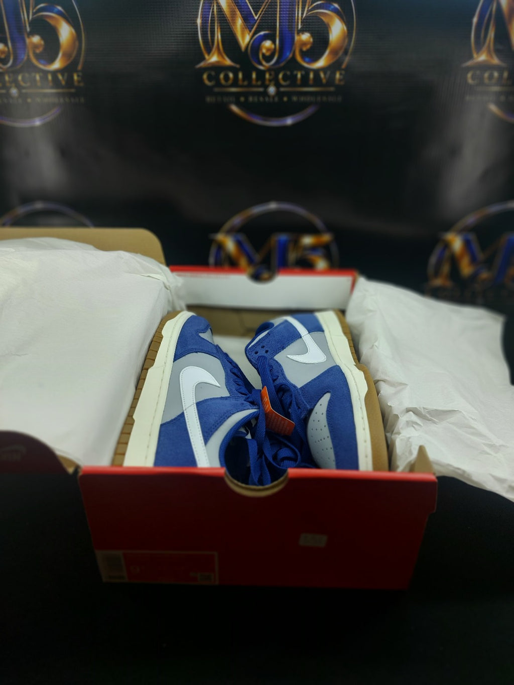 Nike Dunk Low Retro SE in box size 9.5