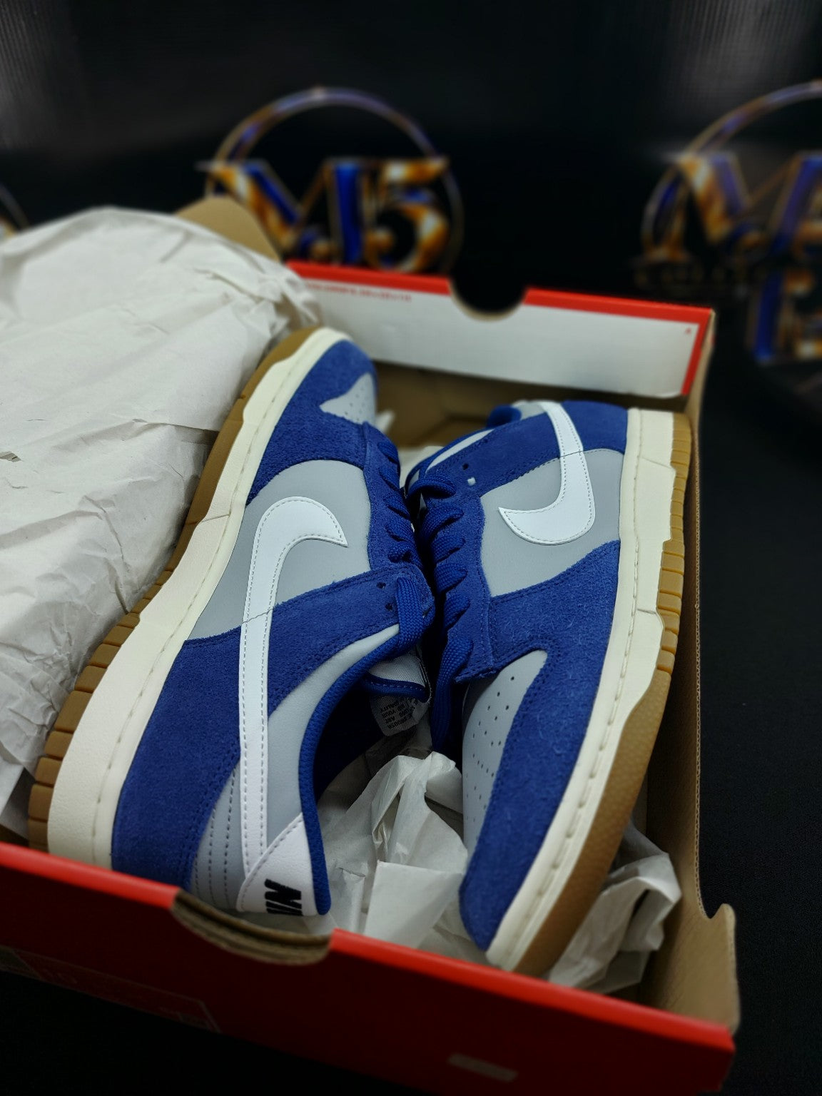 Nike Dunk Low Retro SE in original box