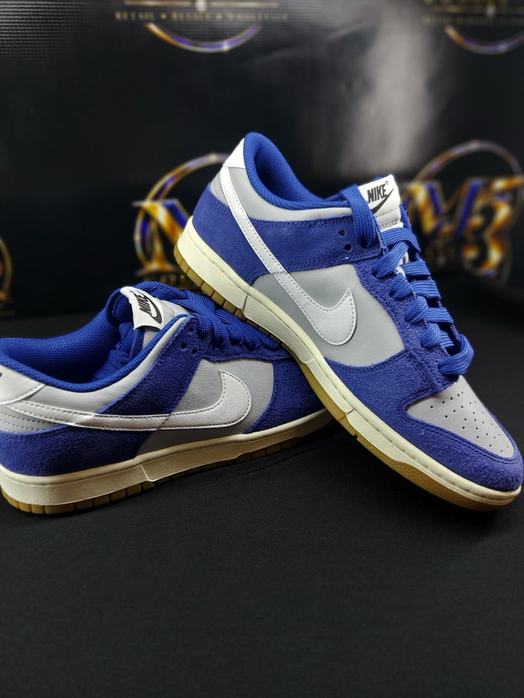 Nike Dunk Low Retro SE pair view